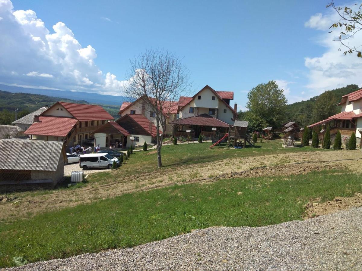 Pensiunea Valea Branzei Nanesti Exterior photo