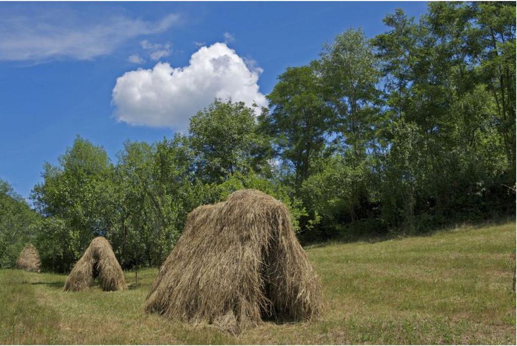Pensiunea Valea Branzei Nanesti Exterior photo